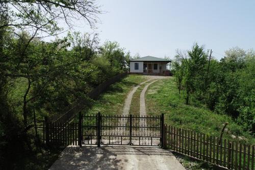 Salkhino House | Renovated 3-bedroom House in Nature - Iskia Estate