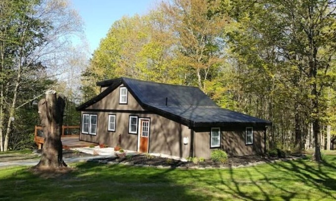 Montrose Cabin | Renovated COZY CABIN with HOT TUB and Smores Bar!