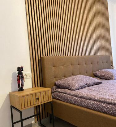 Dumbravita Villa | Rental house