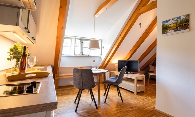 Oberloßnitz Apartment | Rental-Standard-Private Bathroom-Vineyard view-Nr. 3