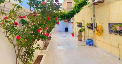 Sousse - Monastir Apartment | Residence Jasmine