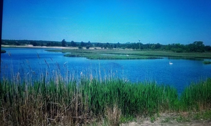 Springs House | Rex- East Hampton Cottage- 5 stars