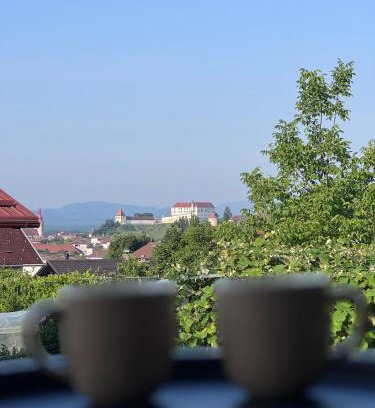 Ptuj Apartment | Rezidenca Vista Lux