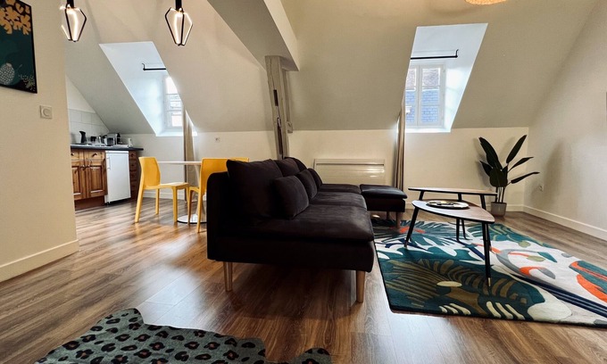 Auxerre Apartment | RhizHome - City center, spacious apartment
