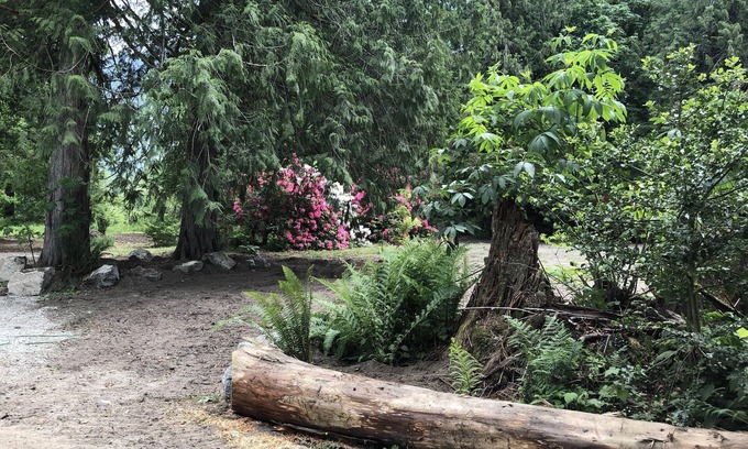 Marblemount House | Rhody House: North Cascades Comfort in the Woods
