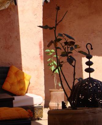 Meknes Medina House | Riad Menthe Et Citron