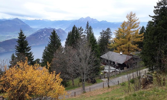 Vitznau Apartment | Rigirolle