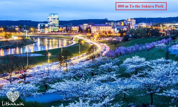 Business District Apartment | River to the City - Studio 8 apartment