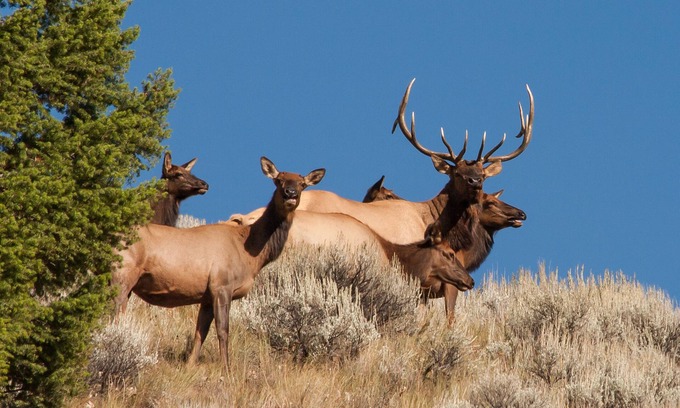 Custer County House | Rocky Mountain RV Camp