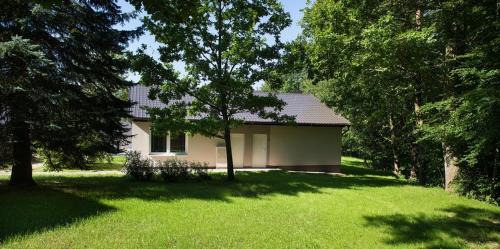 Tremosnice House | Rodinné chatky Kraskov