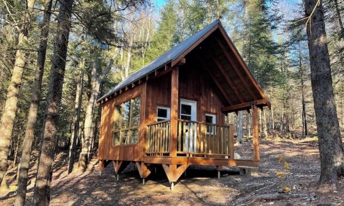 Saint-Etienne-De-Bolto Cabin | Romantic eco-cottage with mezzanine: La Perdrix