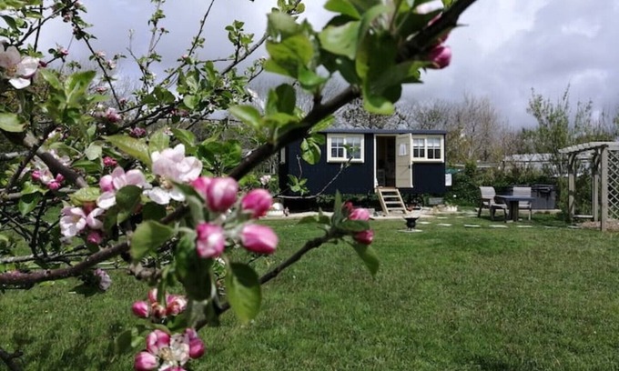 Bude Cabin | Romantic Apple Tree Shepherd's Hut with optional hot tub and shared EV charger.