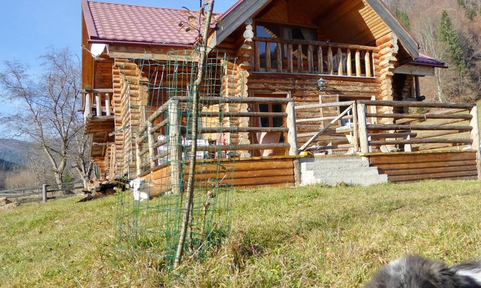 Zarnesti Cabin | romantic log cabin in the Carpathian Mountains
