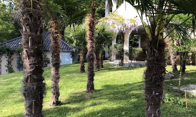 Kressbronn Resort | Romantic villas right next to Schlössle Park, 2 minutes' walk to the beach