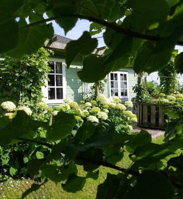Municipality of Den Helder House | Romantisch Huisje nabij het strand met uitzicht op de tulpenvelden