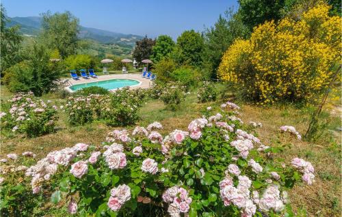 Cagli House | Rondine