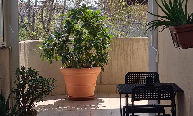 Rome Province Apartment | Rooms And Comfort Apartment