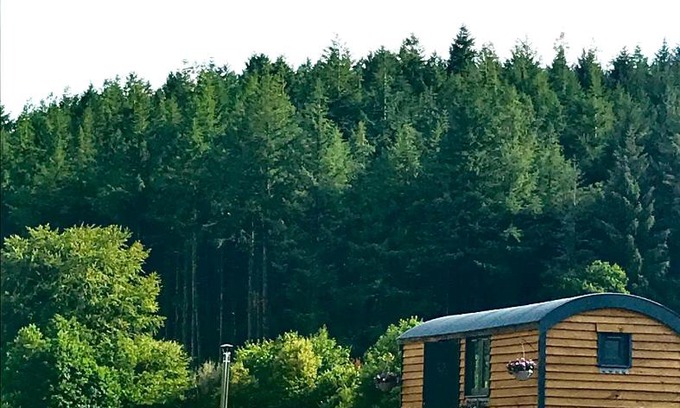 Launceston Cabin | Roosters Retreat