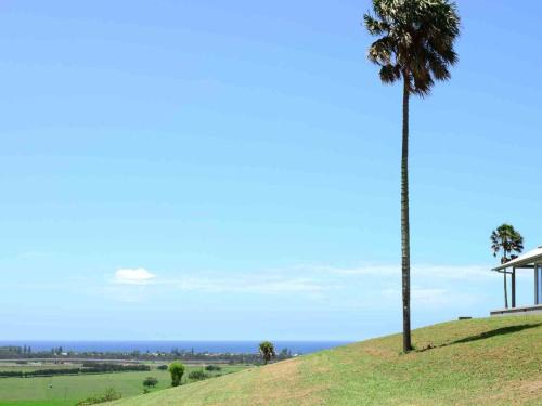 Rose Valley House | Rose Valley Gerringong