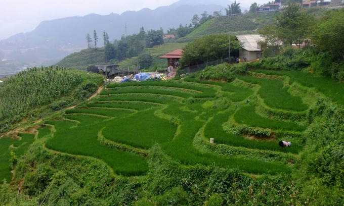 Sa Pa House | Rosie House Sapa Lao