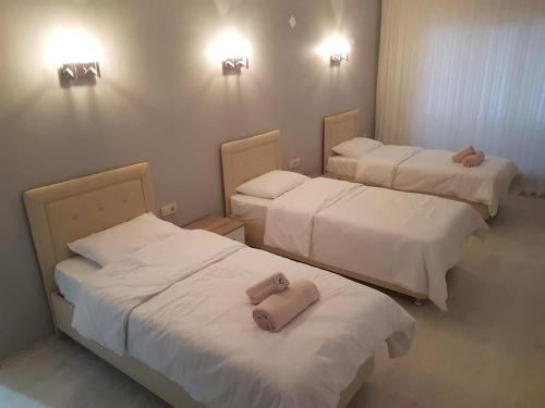 Amman Apartment | Ross INN
