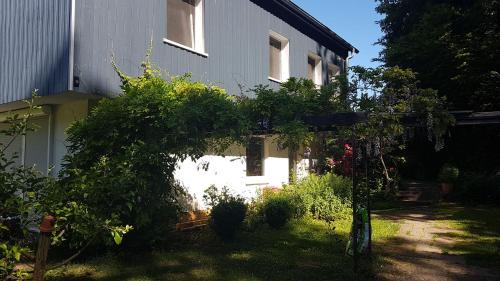 Bad Arolsen Apartment | Ruhige Ferienwohnung „Südhang“ direkt am Wald