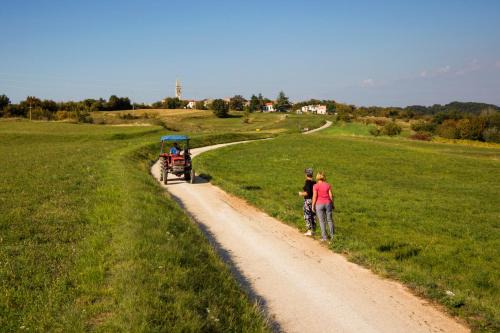 Zrenj Apartment | Rural Apartment Carolina