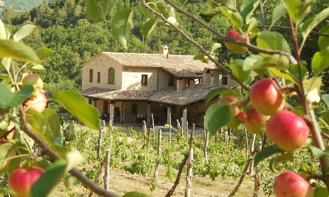 Vallo di Nera Apartment | Rural farm-stay on working organic farm, in restored stone villa. Kid-friendly!