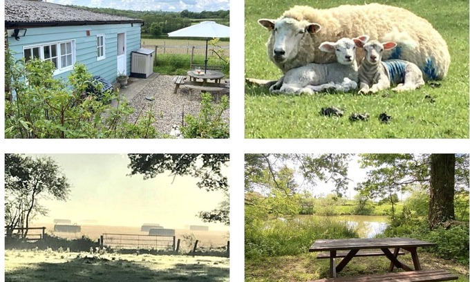 Cranbrook Ski Chalet | Rural Retreat in Idyllic Countryside - ideal for fishing , dogs & walks