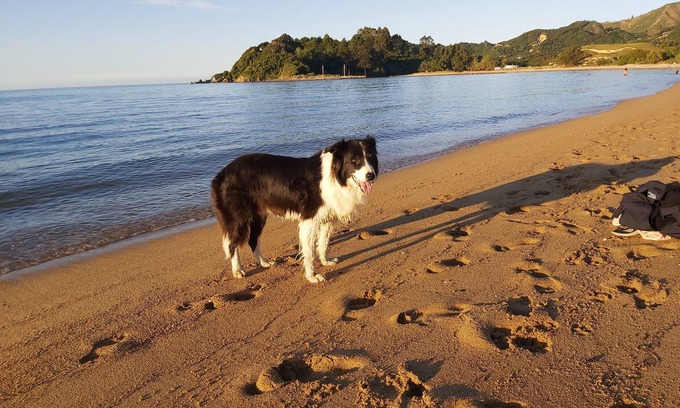 Tata Beach House | Ruru at Ligar Bay