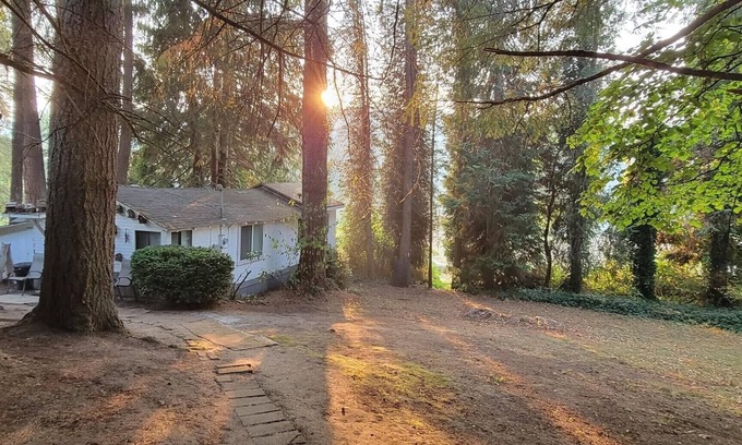 Clatskanie Cabin | Rustic forest cabin - perfect for solo travelers who cherish privacy and quiet.