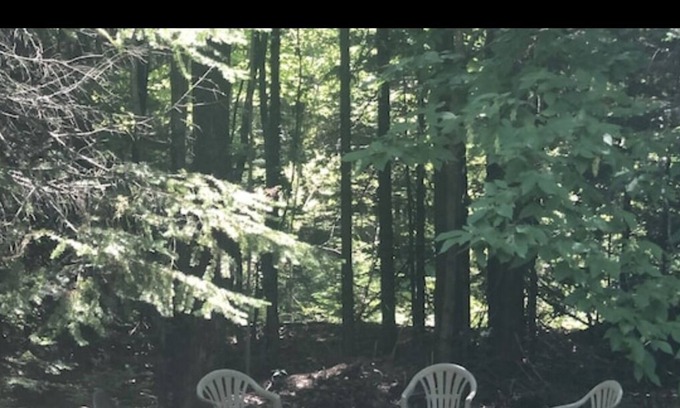 Ontonagon Cottage | Rustic Hot Tub & Games Cottage