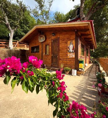 Pavliani House | RVilla