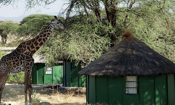 Ruaha National Park Hotel | Safari and tours