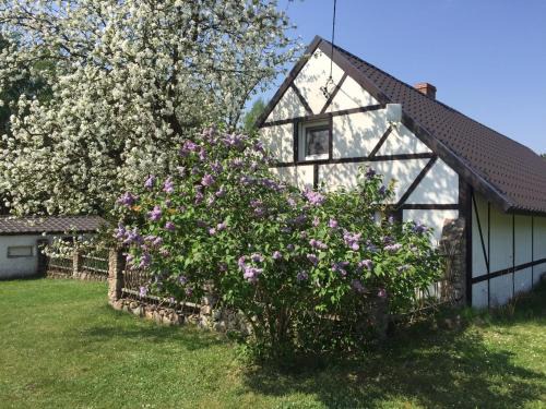 Tereszewo Cabin | Samodzielny Dom Przy Lesie