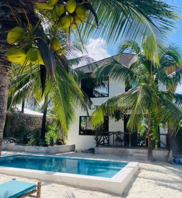 Bwejuu Beach Apartment | Sand Beach Boutique Apartments