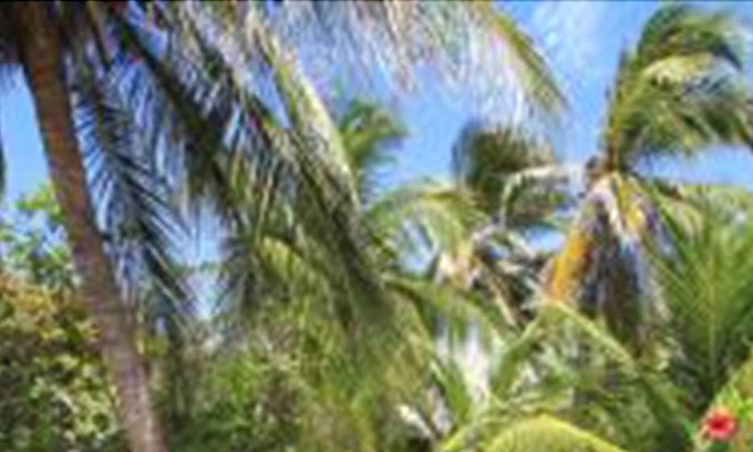 Atins Hotel | Santa Maria Atins