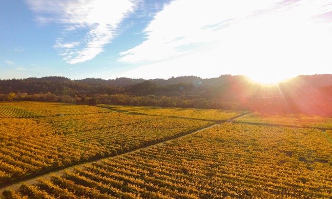 Healdsburg Cottage | Santini Farmhouse | Complimentary tasting at Croix Winery included!