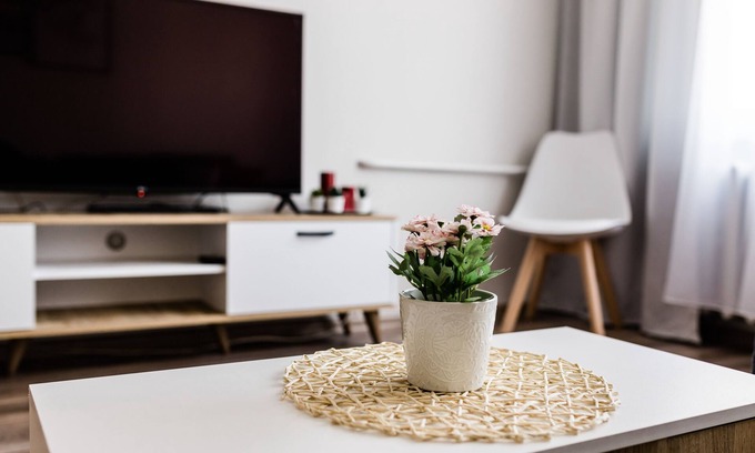 Vilnius city municipality Apartment | Scandinavian Inspired design