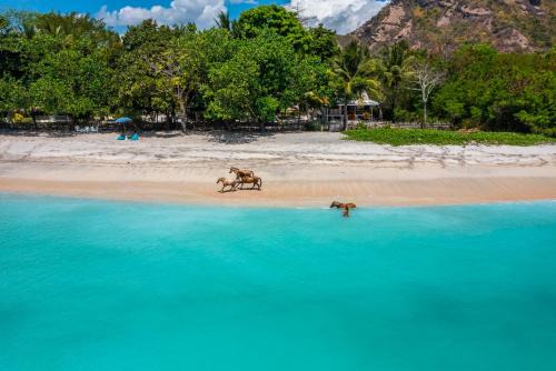 Sumbawa Barat Cabin | Scar Reef Resort - Beachfront Paradise HALF BOARD or NIGHT STAY