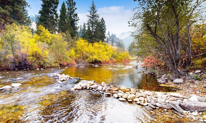 Sula Cabin | Scenic retreat w/two cabins, abundant wildlife, forest views, & fishing