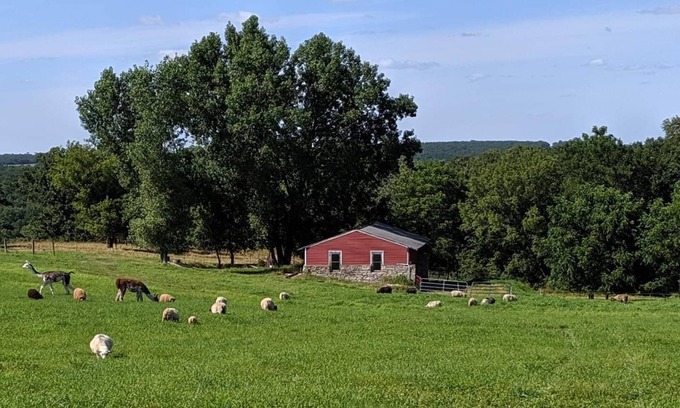 Preston Other | Schmidt Farm: an interactive farm experience bordering Forestville State Park