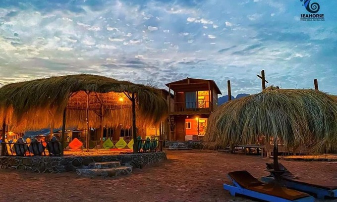 Nuweiba Other | sea horse