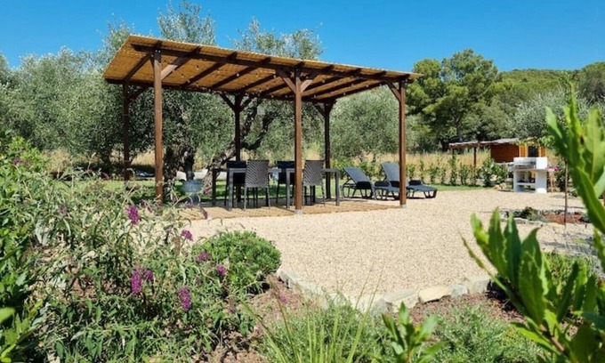 Quercianella Apartment | Sea & Olive trees