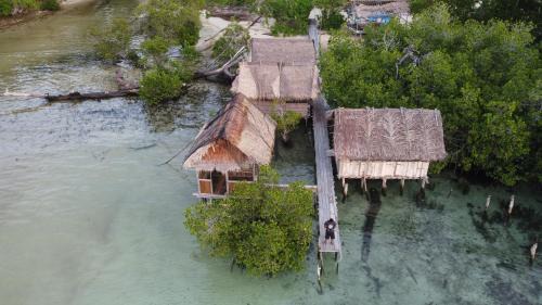 Manyaifun House | Sea Whip Raja Ampat