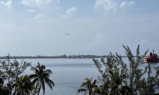Kingston Apartment | SEAFLECTIONS - Relax, Reflect & Reminisce on the MUSIC, ART and CULTURE.