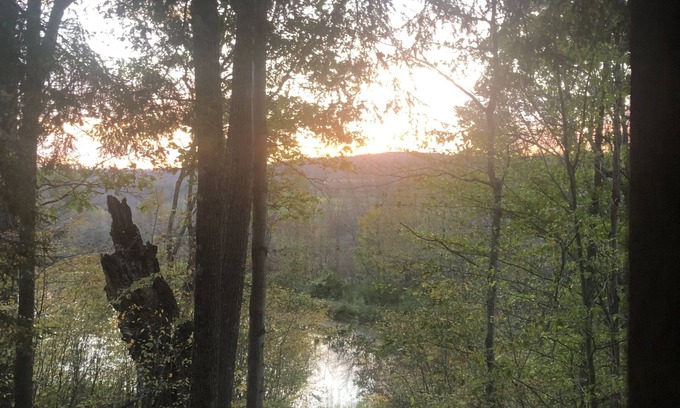 Hartwick Cabin | Secluded Cabin Nestled In The Trees Overlooking Fishing & Canoe Pond