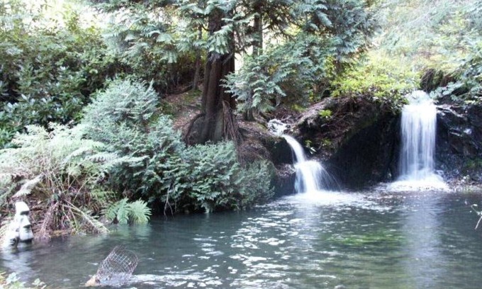 Llanidloes House | Secluded Caravan next to 2 pools & waterfalls. Decking area & Summer house