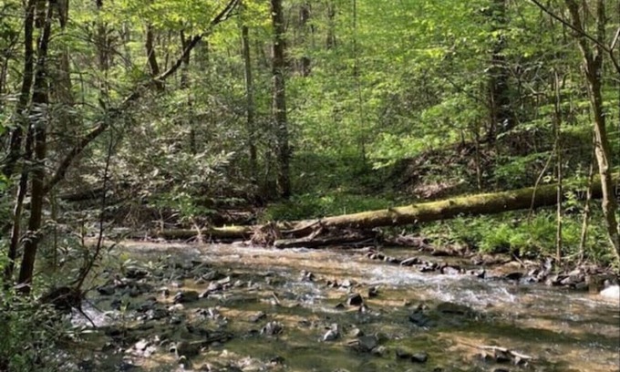 Ellijay Cabin | Secluded Log Cabin and Rushing Creek- Dogs Welcome