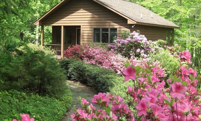 Dyke Cabin | Secluded, Romantic Mountain Cabin for 2, fully equipped